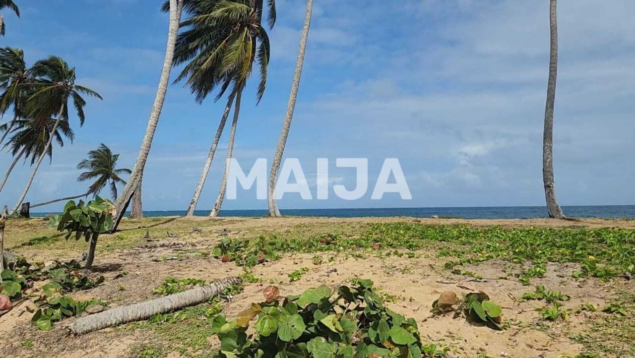 Land El Cedro, Dominican Republic, 5 630 m² - picture 10