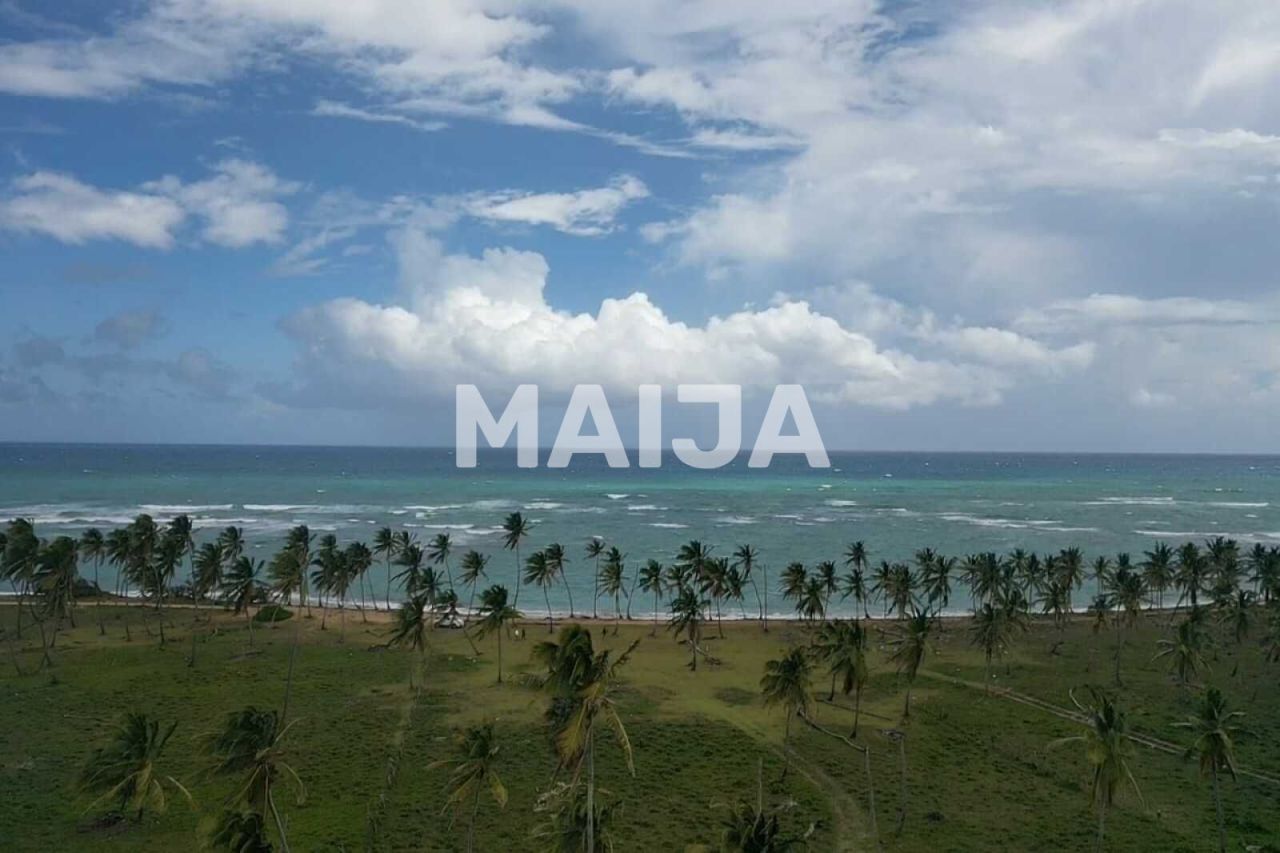Terreno El Cedro, República Dominicana, 25 154.4 m² - imagen 10