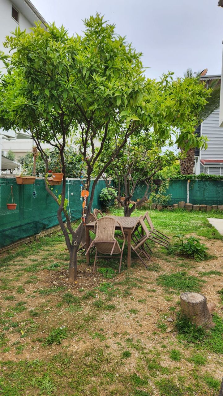 Villa à Alanya, Turquie, 210 m² - image 3