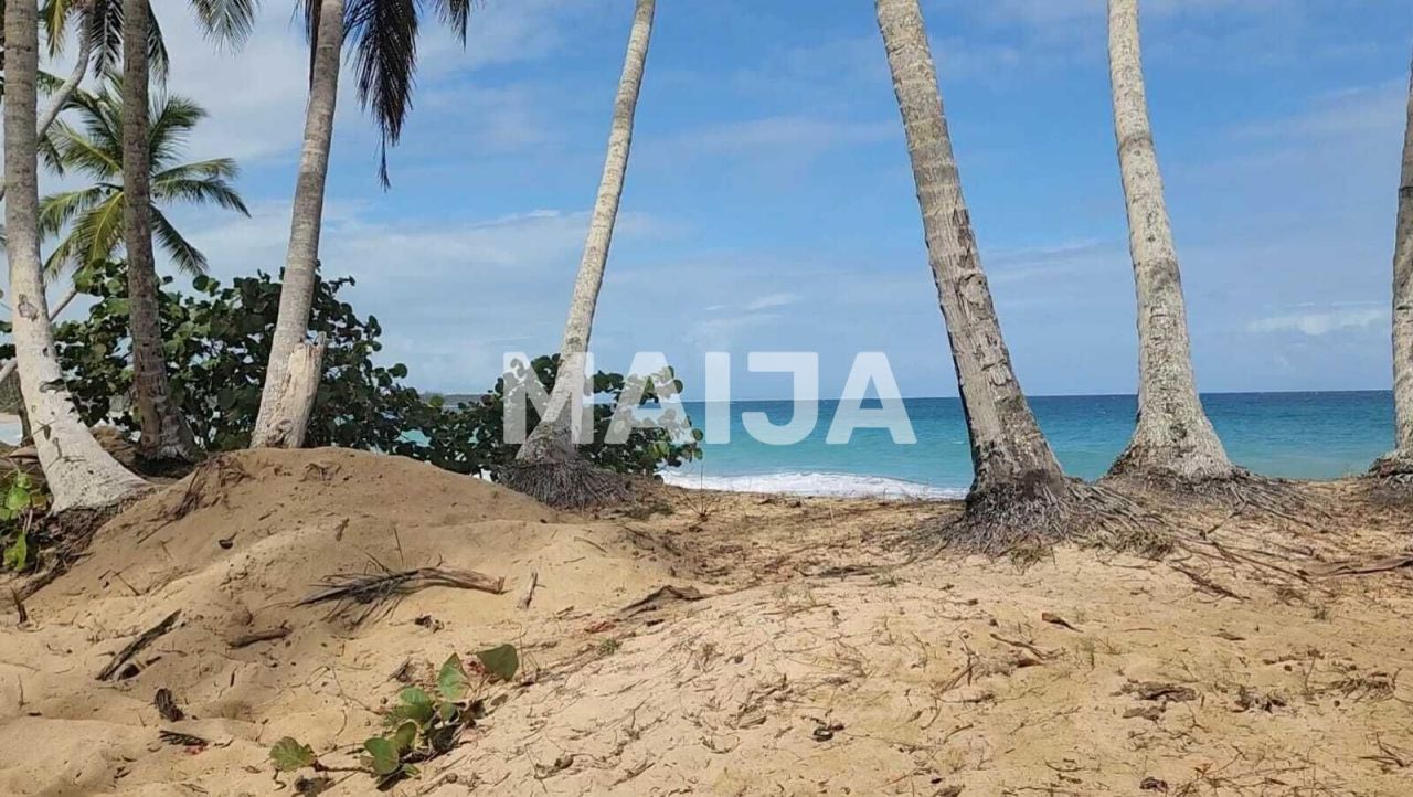 Land El Cedro, Dominican Republic, 5 630 m² - picture 12