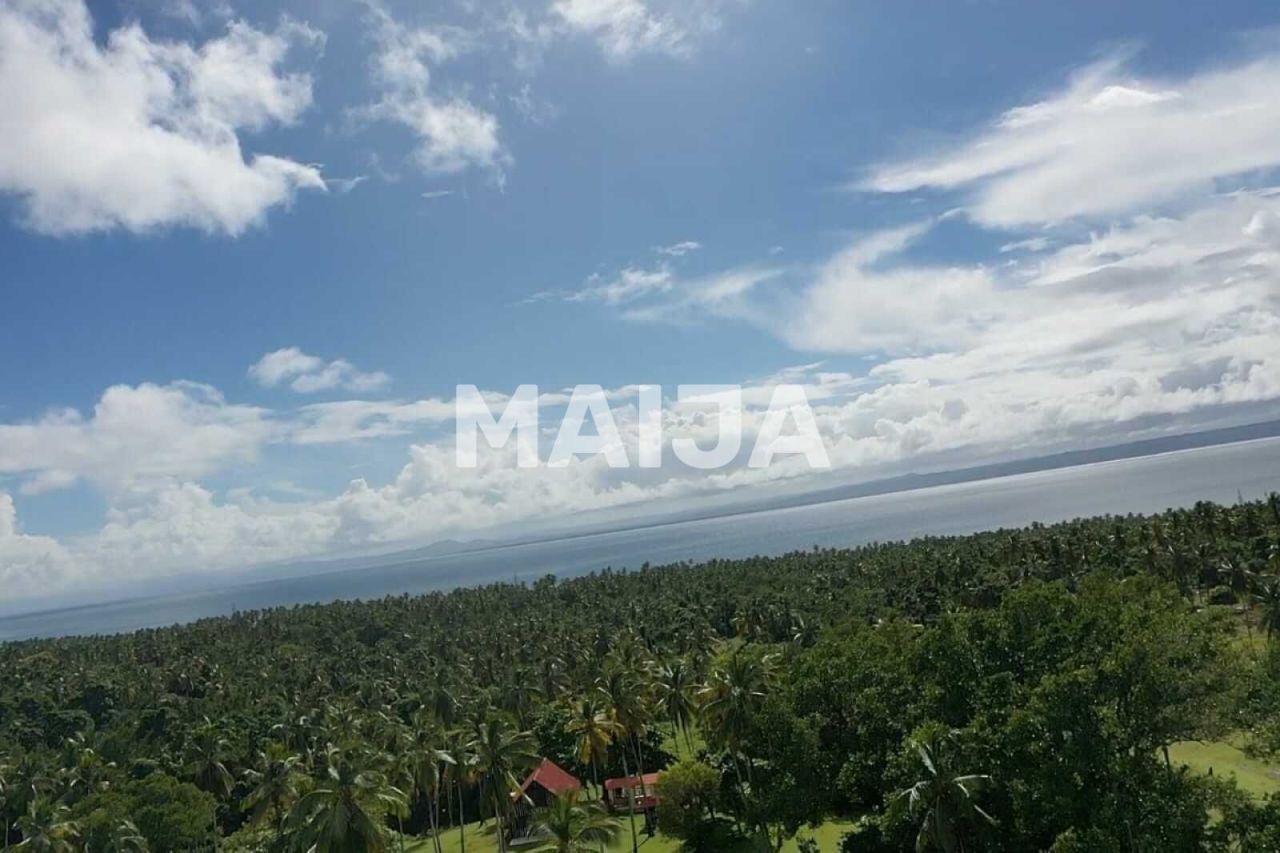 Land in Samana, Dominican Republic, 140 200 m² - picture 12