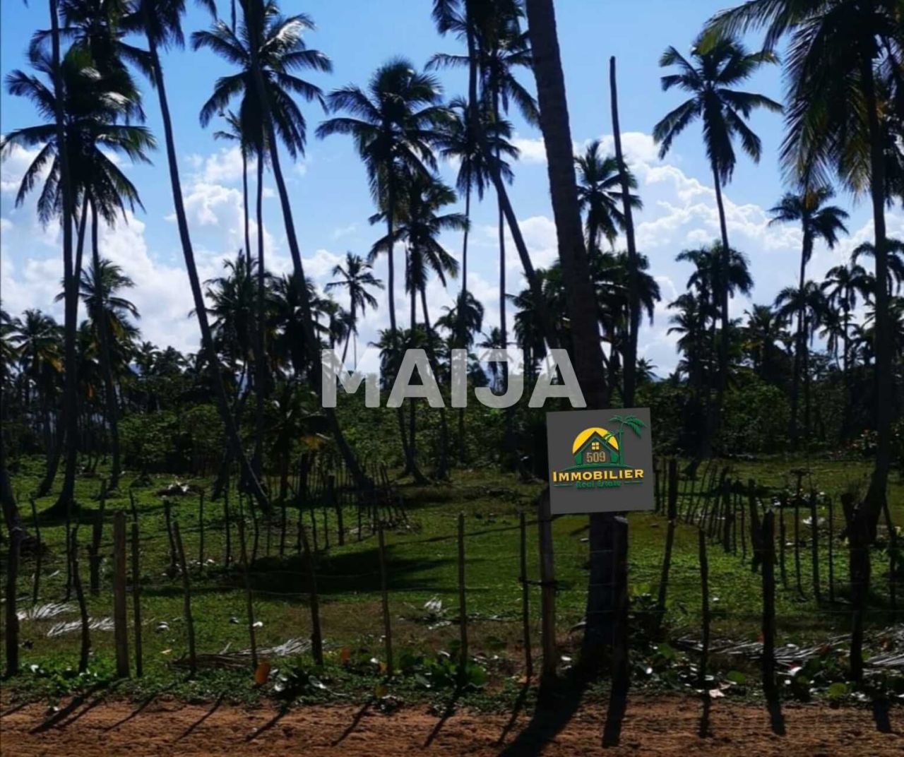 Land El Cedro, Dominican Republic, 5 630 m² - picture 13