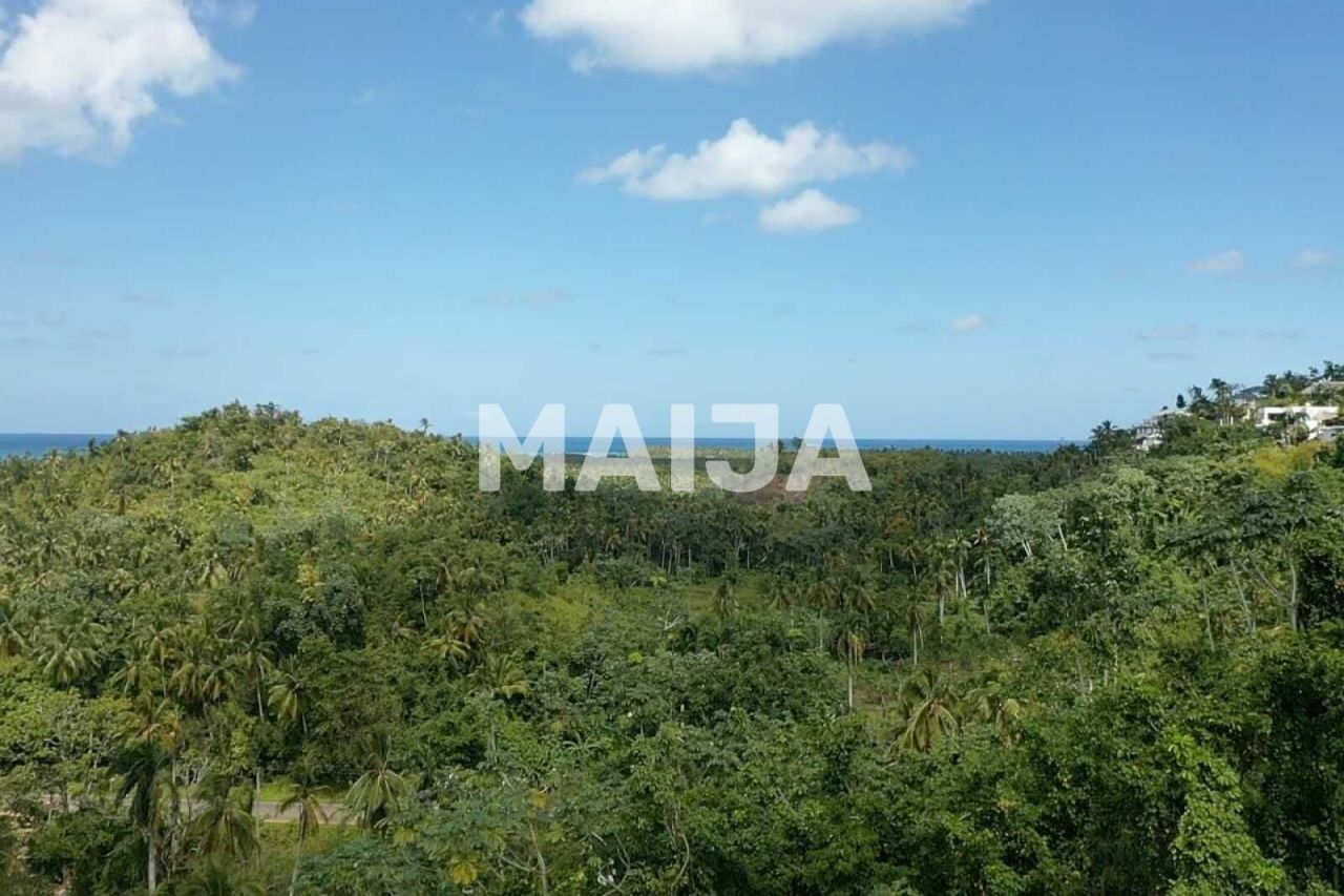 Terrain à Las Terrenas, République dominicaine, 10 000 m² - image 15