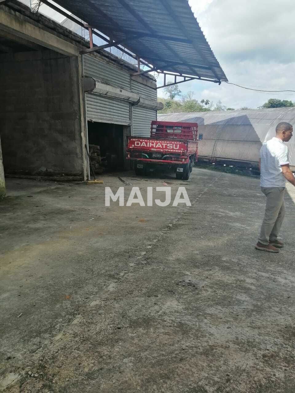 Industrial en Gaspar Hernández, República Dominicana, 4 340 000 m² - imagen 16