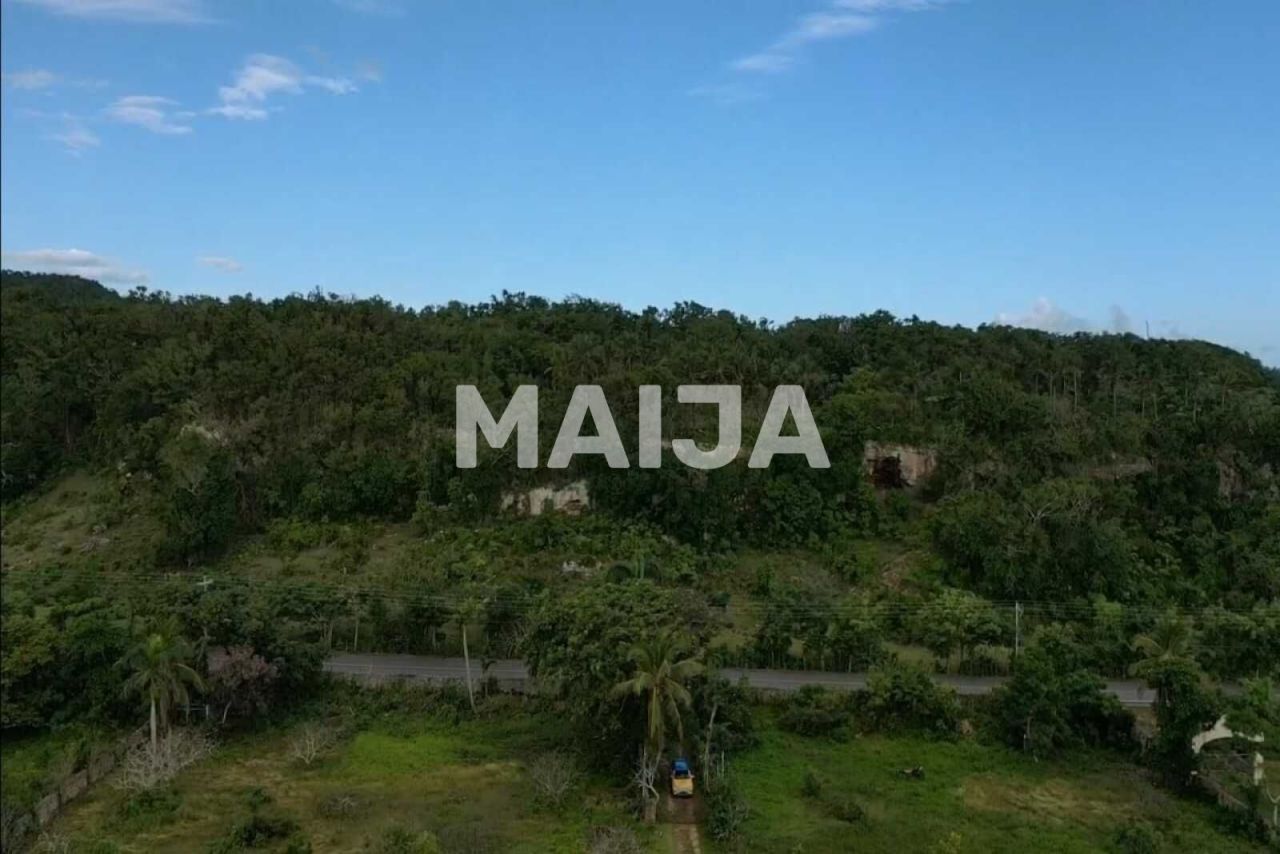 Terrain à Samaná, République dominicaine, 17 000 m² - image 16