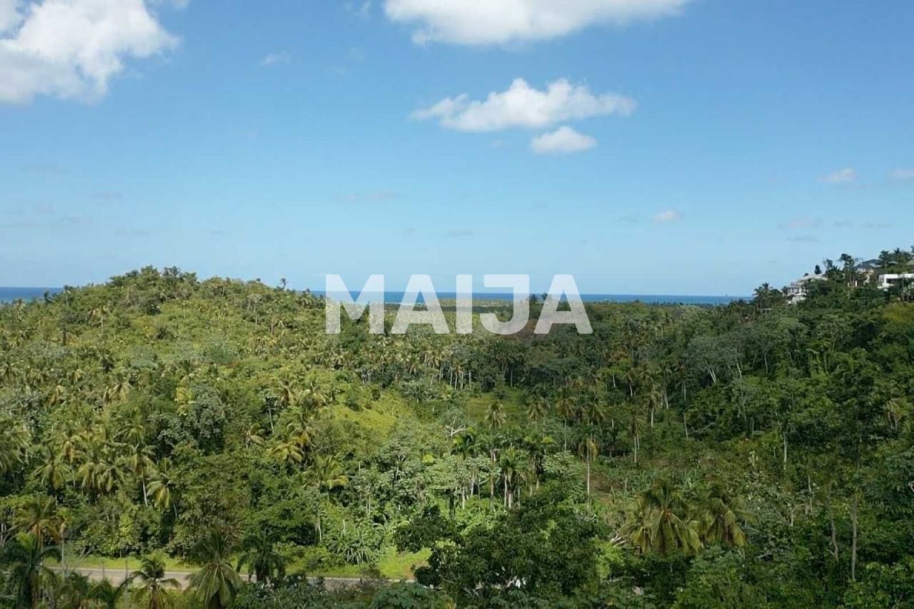 Terrain à Las Terrenas, République dominicaine, 10 000 m² - image 16