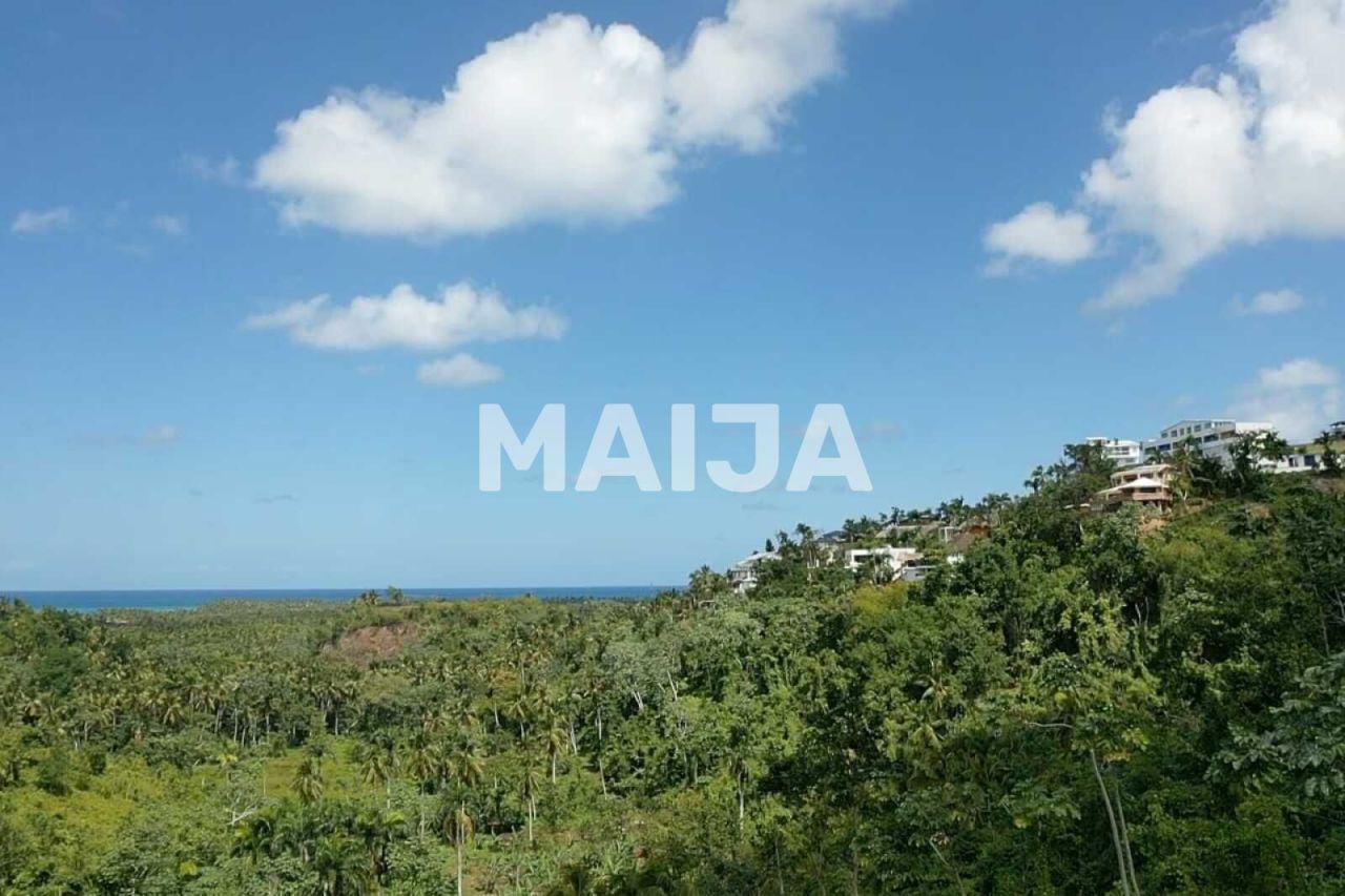 Terrain à Las Terrenas, République dominicaine, 10 000 m² - image 17