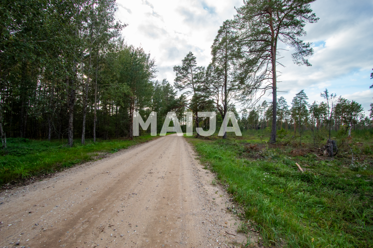 Terreno Ilkene, Letonia, 17 400 m² - imagen 16