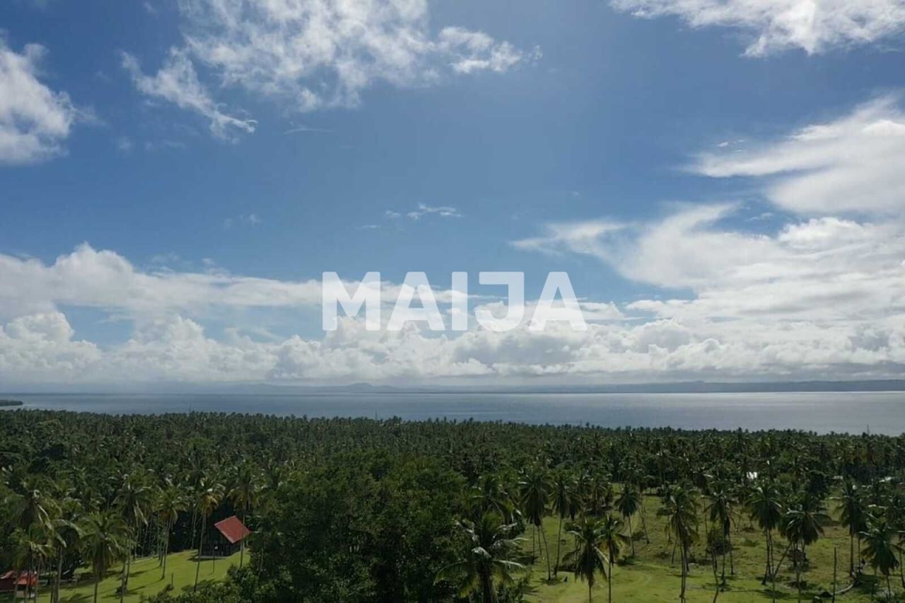 Land in Samana, Dominican Republic, 140 200 m² - picture 17