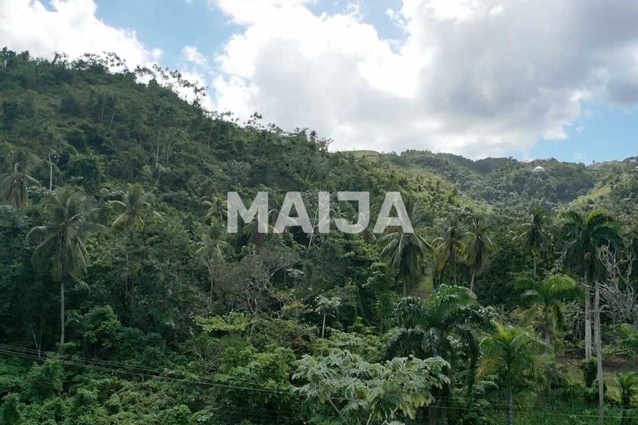 Terrain à Las Terrenas, République dominicaine, 10 000 m² - image 18