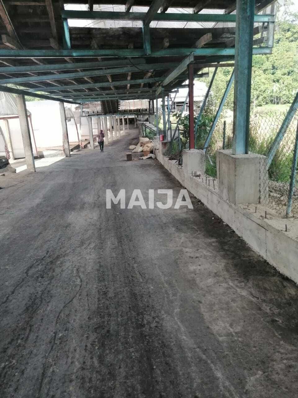 Industrial en Gaspar Hernández, República Dominicana, 4 340 000 m² - imagen 19