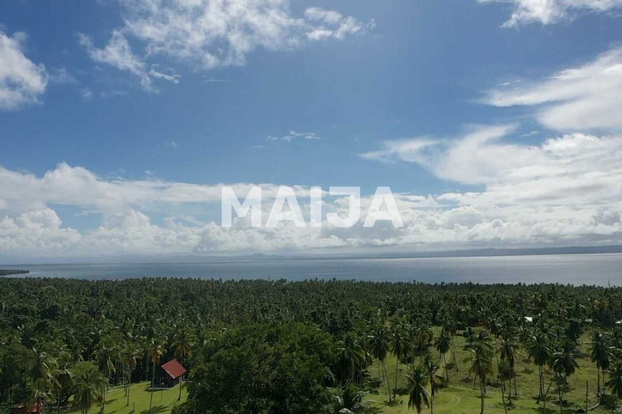 Land in Samana, Dominican Republic, 140 200 m² - picture 18