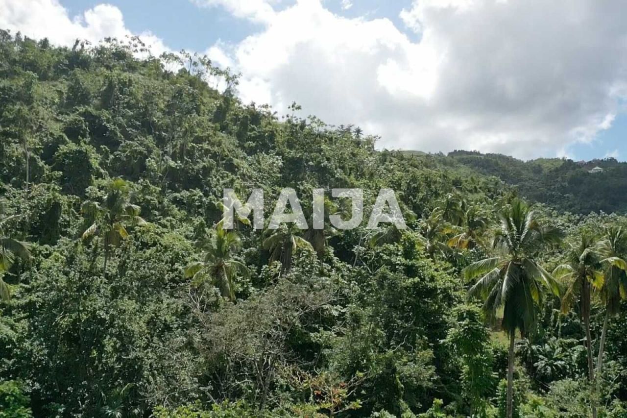 Terrain à Las Terrenas, République dominicaine, 10 000 m² - image 19