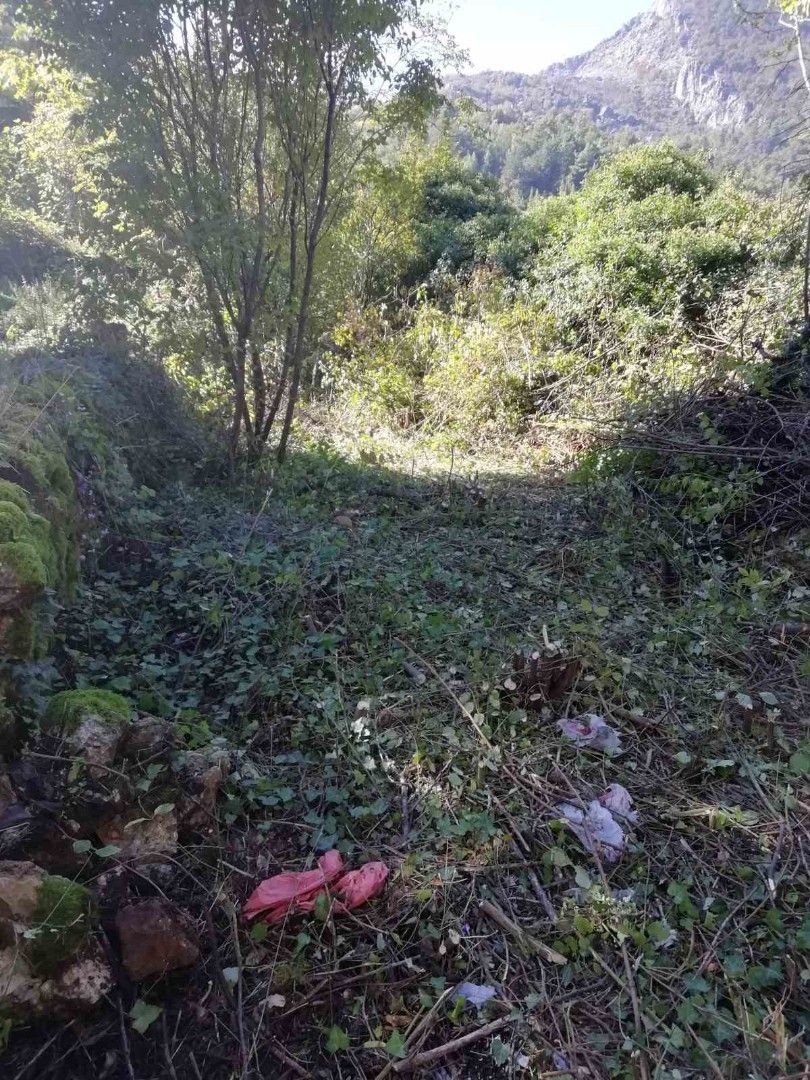 Casa sul lago di Scutari, Montenegro, 60 m² - foto 4