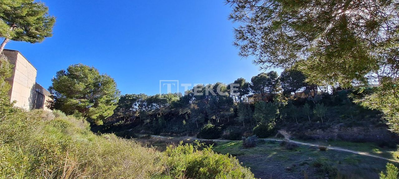 Villa à Pilar de la Horadada, Espagne, 191 m² - image 8