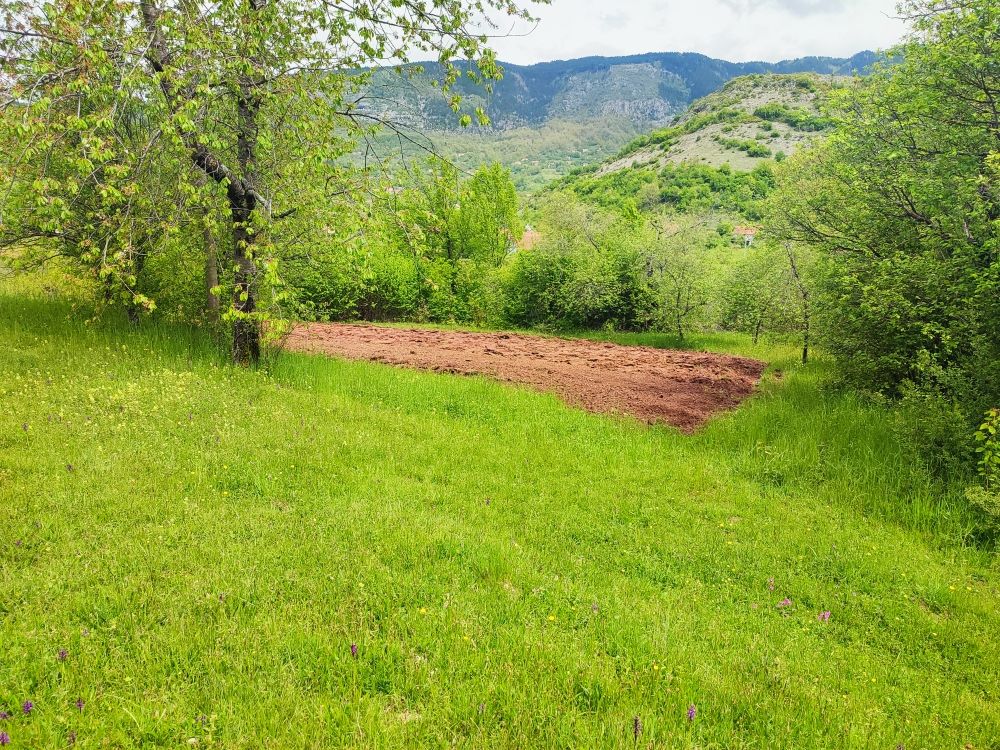 Maison à Nikšić, Monténégro, 77 m² - image 5