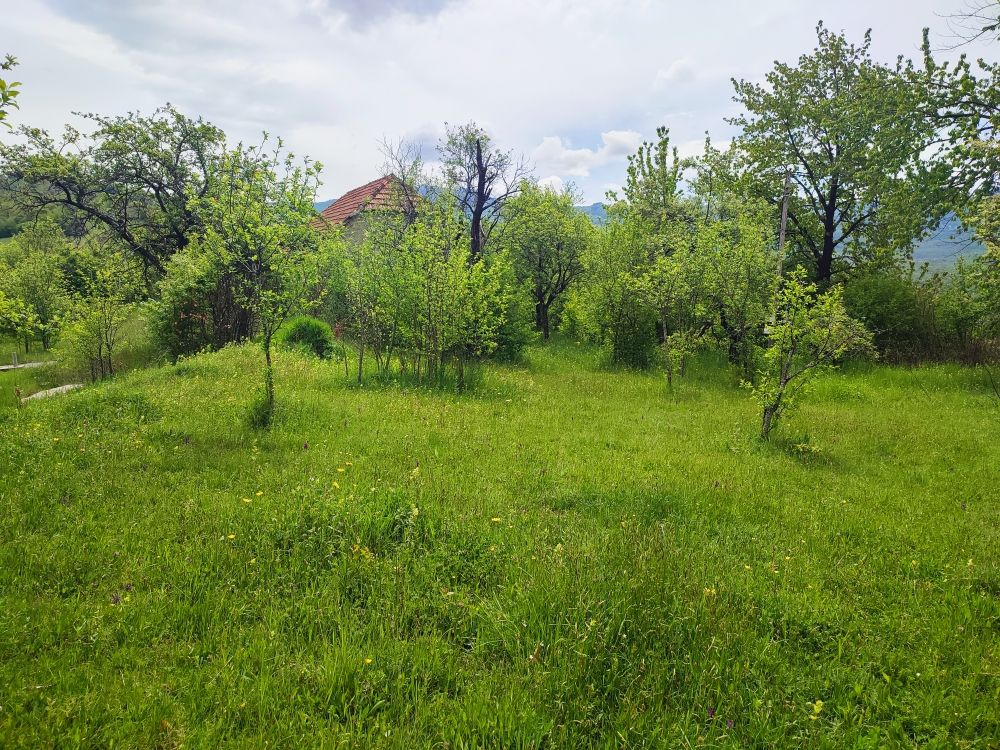 Maison à Nikšić, Monténégro, 77 m² - image 6