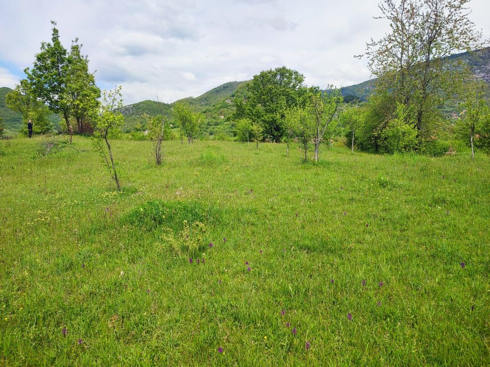 Maison à Nikšić, Monténégro, 77 m² - image 7