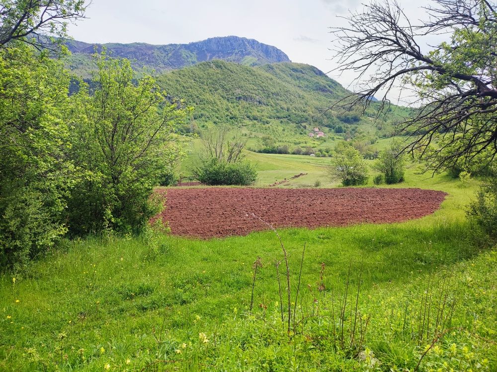 Maison à Nikšić, Monténégro, 77 m² - image 4