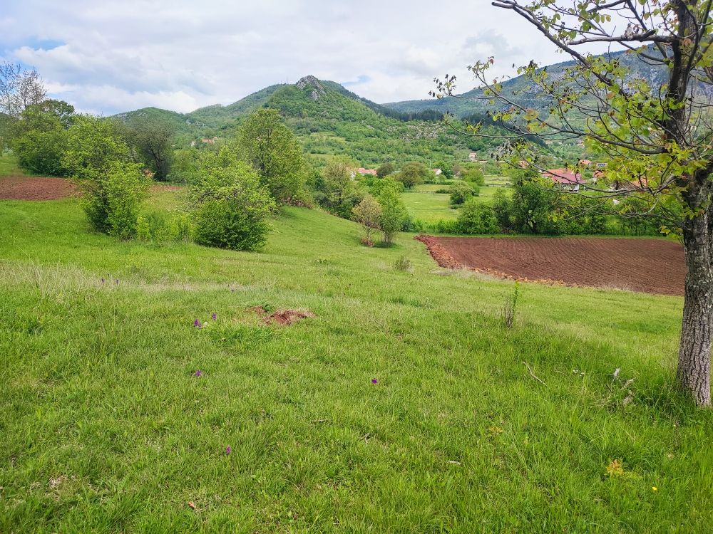 Maison à Nikšić, Monténégro, 77 m² - image 11