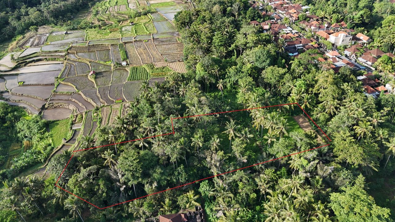 Terreno en Ubud, Indonesia, 45 ares - imagen 1