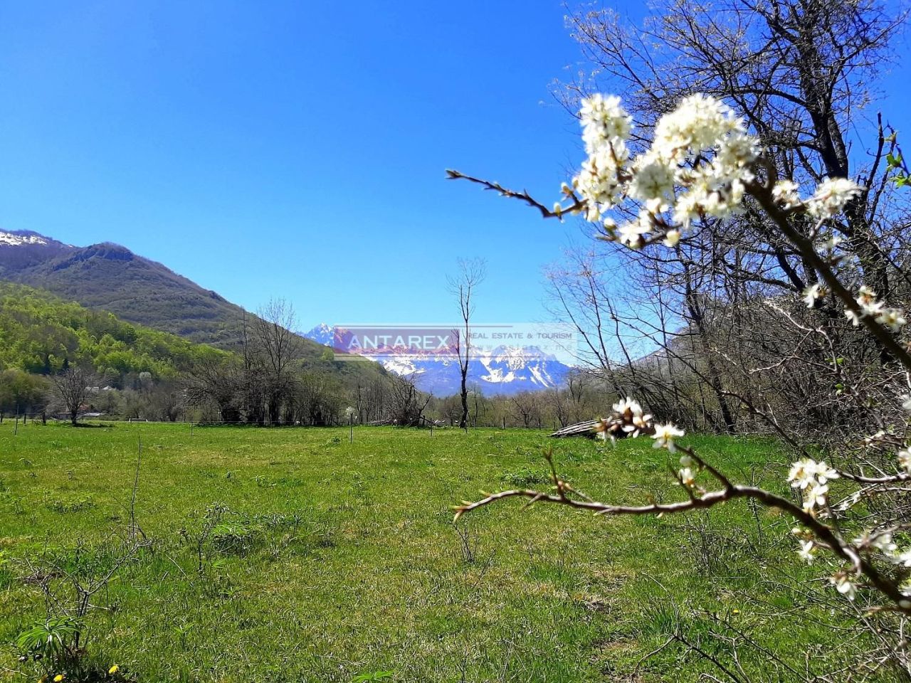 Land in Kolasin, Montenegro, 9 179 m² - picture 5