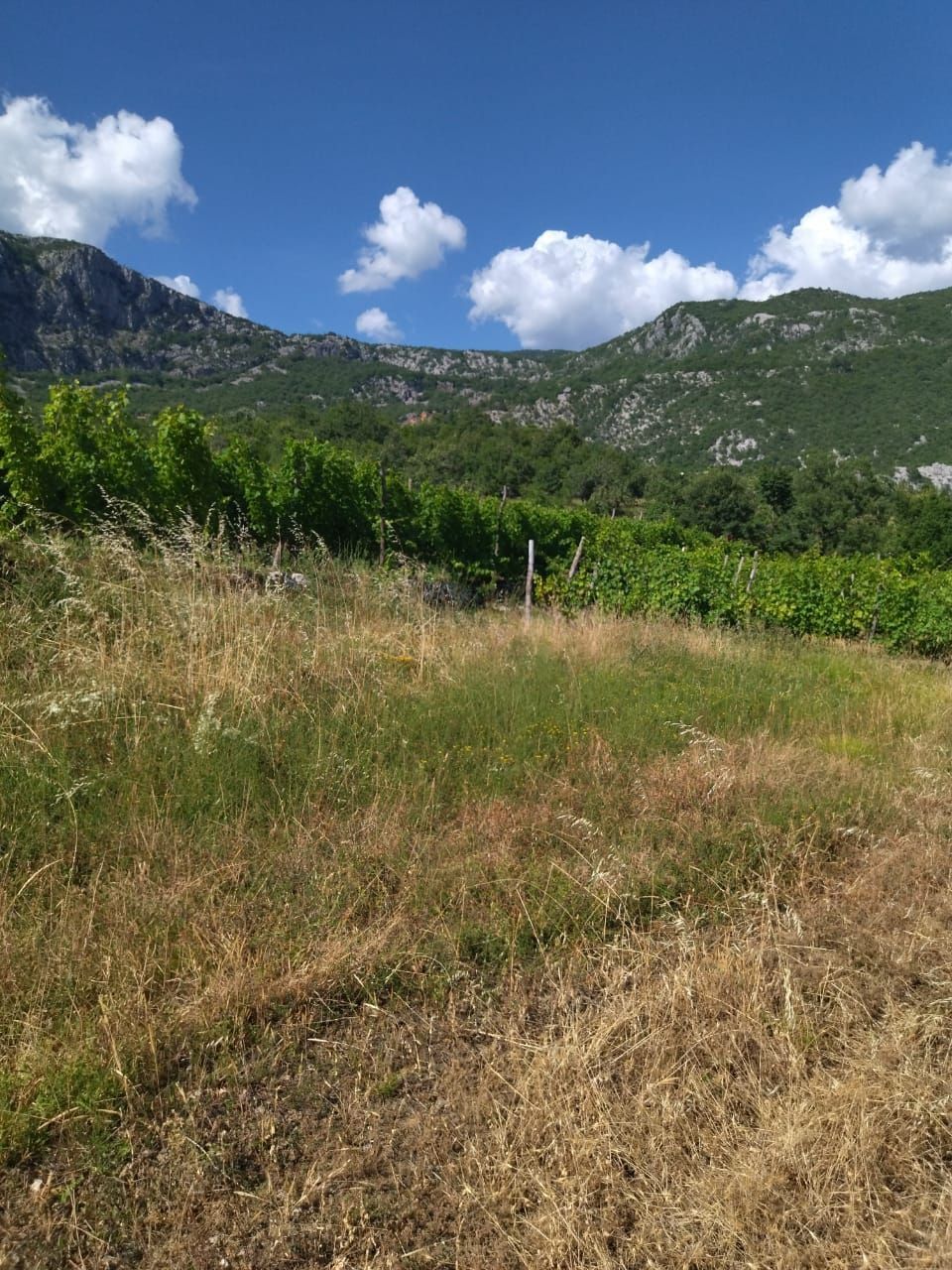 Terreno a Danilovgrad, Montenegro, 10 000 m2 - foto 8