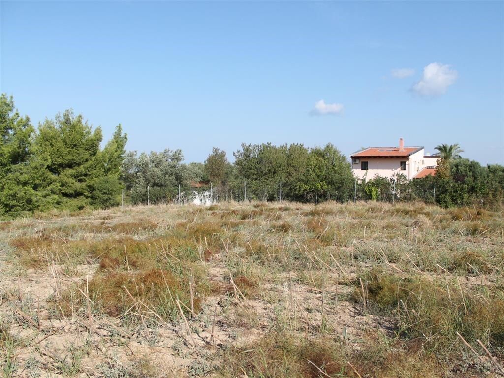 Terrain à Kassandra, Grèce, 4 500 m² - image 5