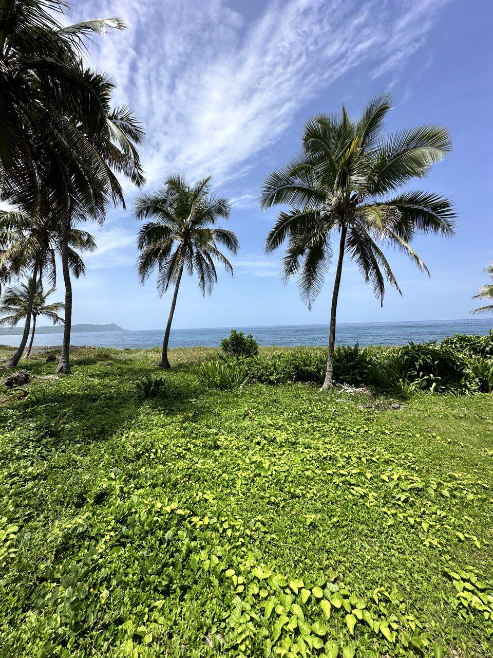 Land in Samana, Dominican Republic, 850 m² - picture 1