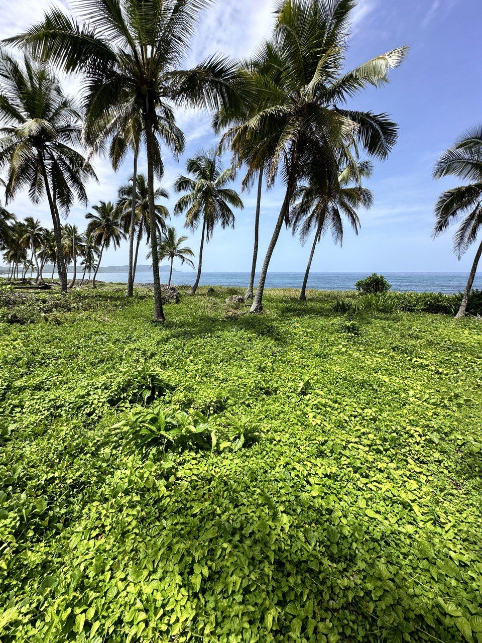 Terreno a Samana, Repubblica Dominicana, 850 m2 - foto 4