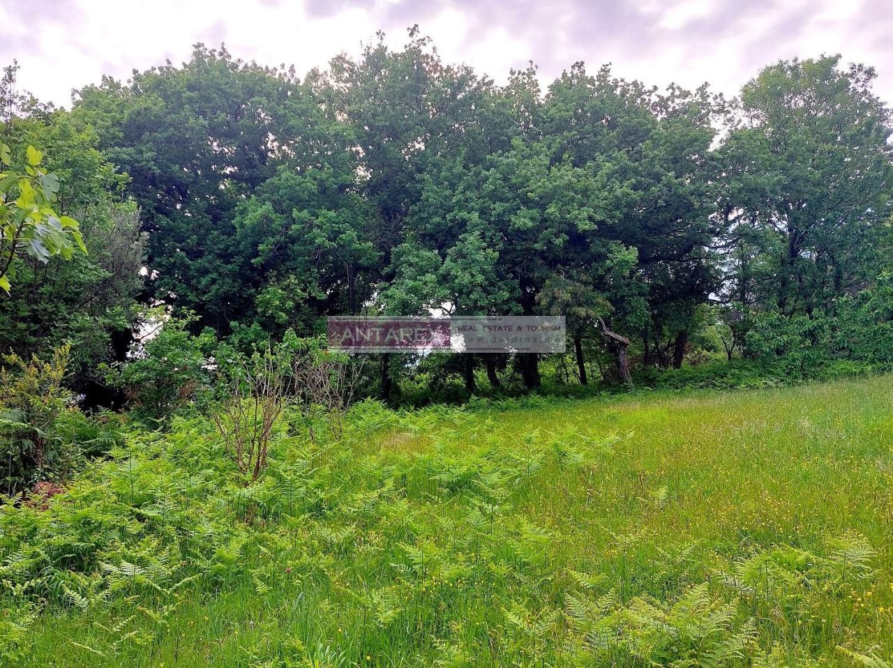 Grundstück in Denovici, Montenegro, 981 m² - Foto 2