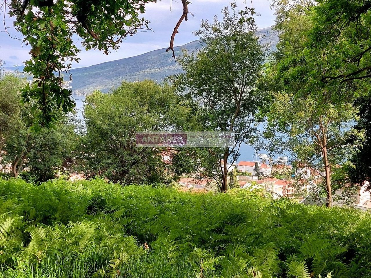 Grundstück in Denovici, Montenegro, 981 m² - Foto 5