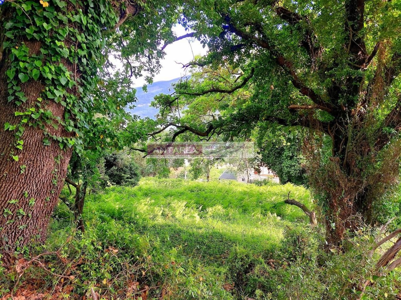 Grundstück in Denovici, Montenegro, 981 m² - Foto 6