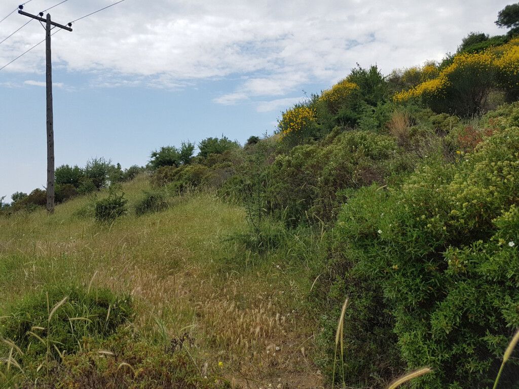 Grundstück in Sithonia, Griechenland, 4 396 m² - Foto 8