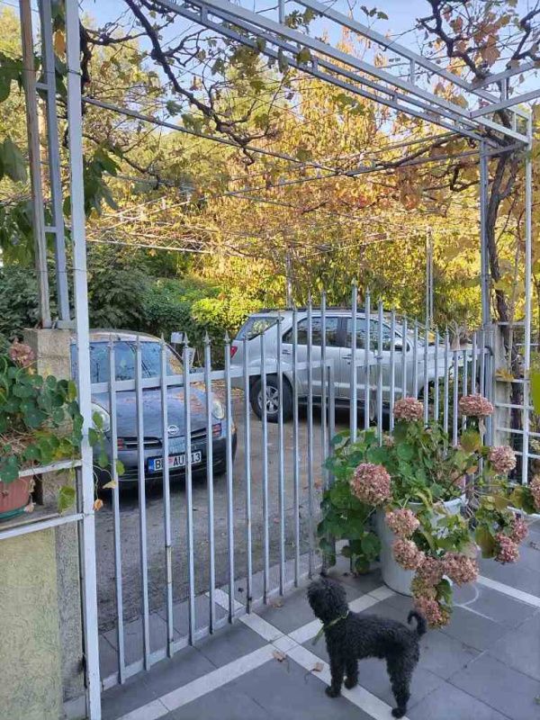 Casa en Budva, Montenegro, 330 m² - imagen 10