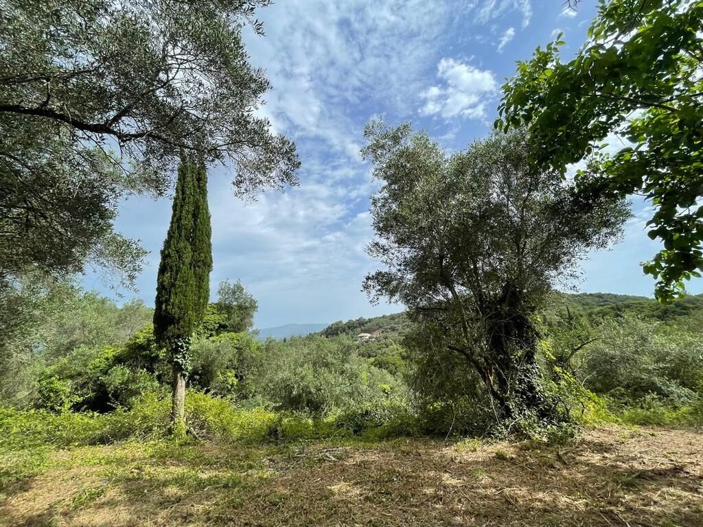 Terreno en Corfú, Grecia, 5 020 m² - imagen 1