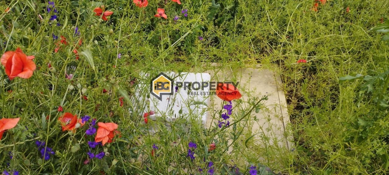 Land in Byala, Bulgaria, 20 ares - picture 5