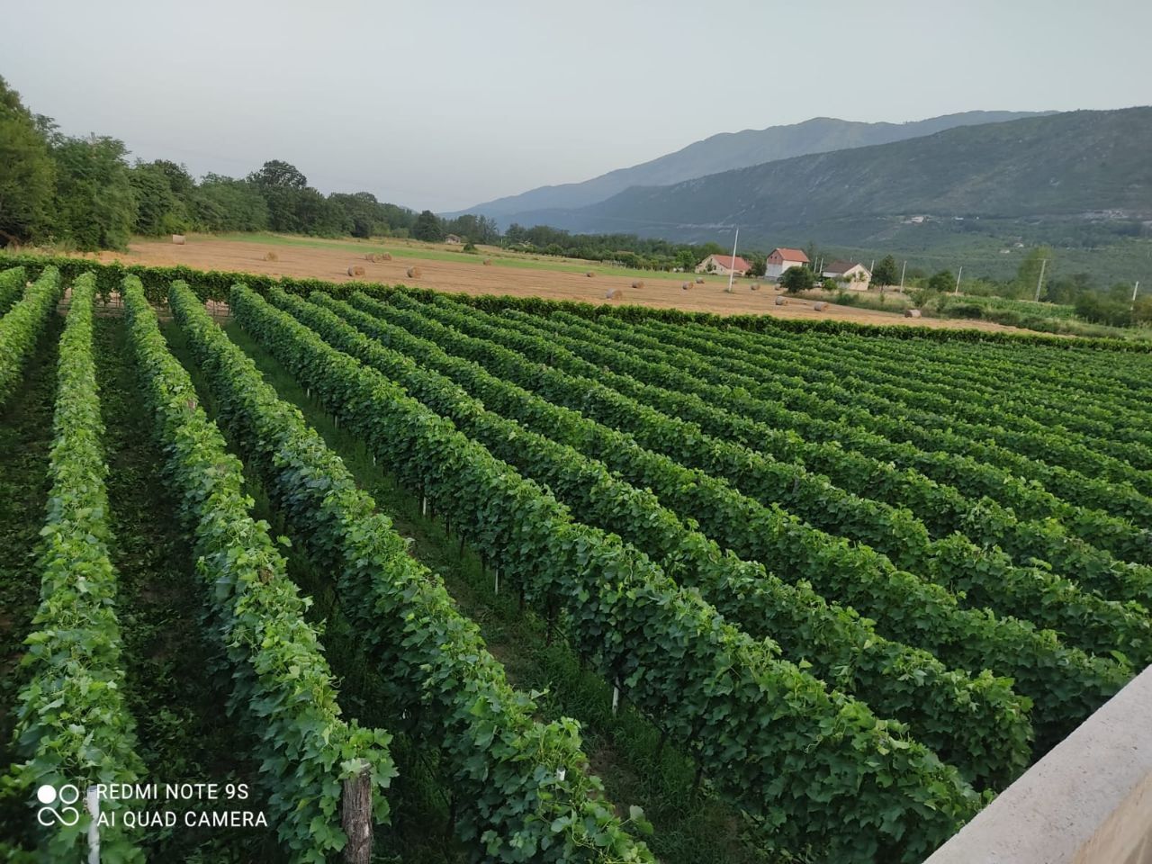 Biens commerciaux à Danilovgrad, Monténégro, 6 000 m² - image 3