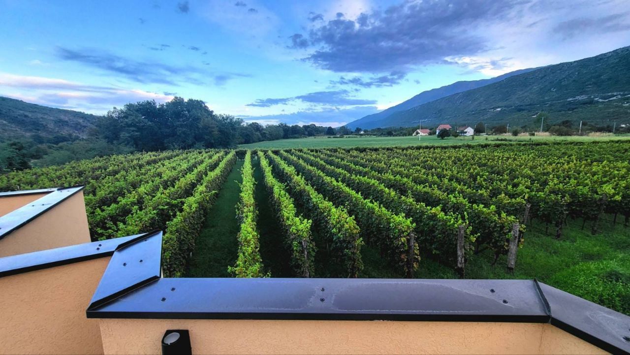 Biens commerciaux à Danilovgrad, Monténégro, 6 000 m² - image 18