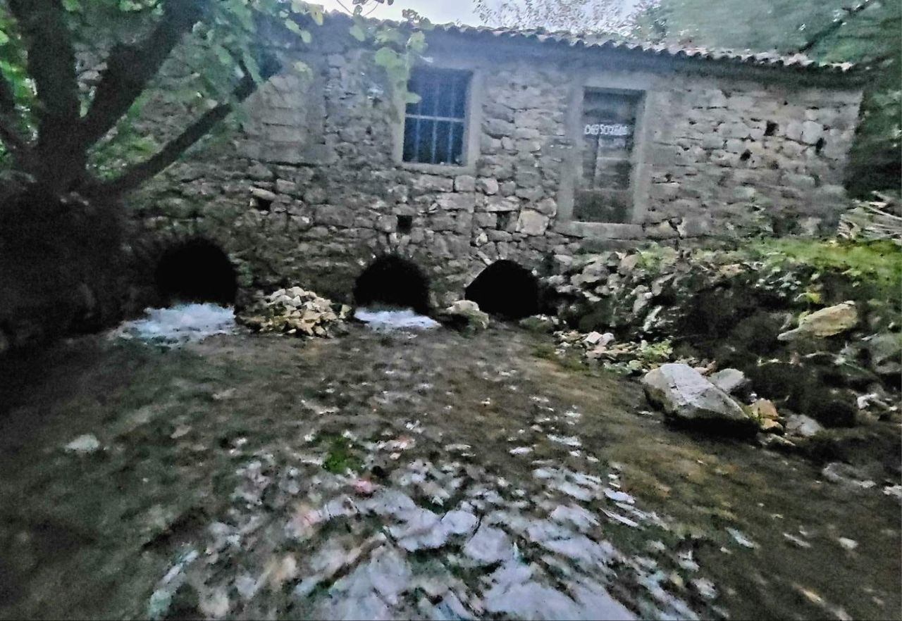 Biens commerciaux à Danilovgrad, Monténégro, 6 000 m² - image 17