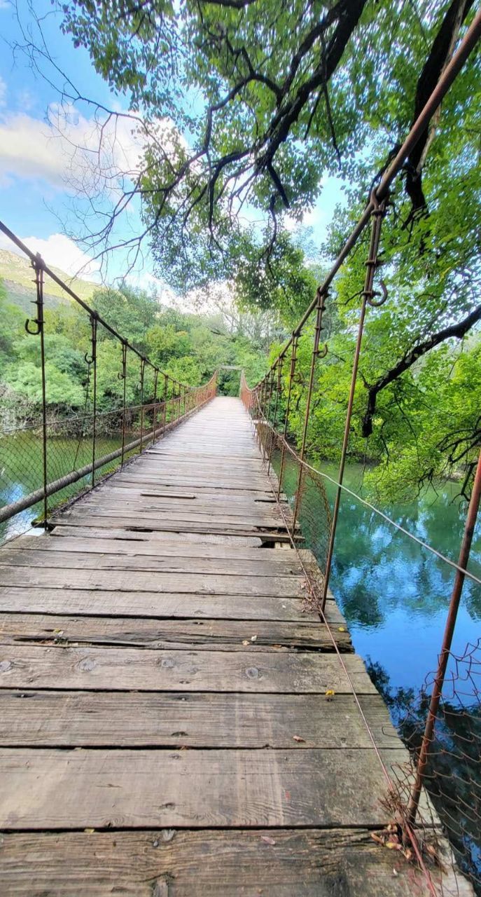 Biens commerciaux à Danilovgrad, Monténégro, 6 000 m² - image 13