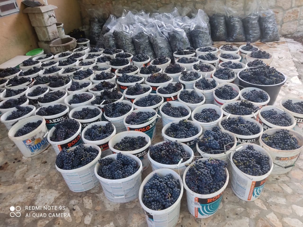 Biens commerciaux à Danilovgrad, Monténégro, 6 000 m² - image 15