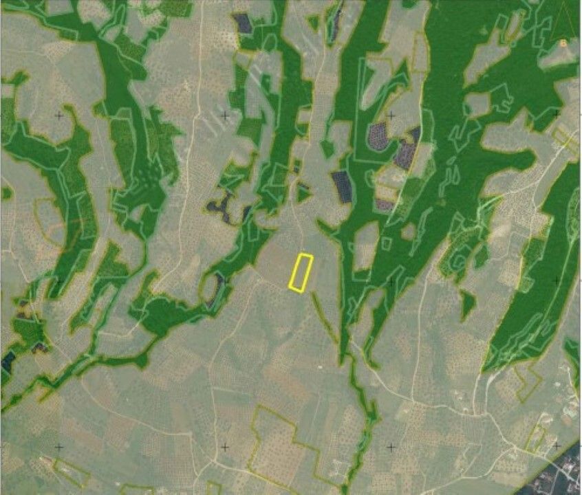 Land in Sithonia, Greece, 4 132 m² - picture 2