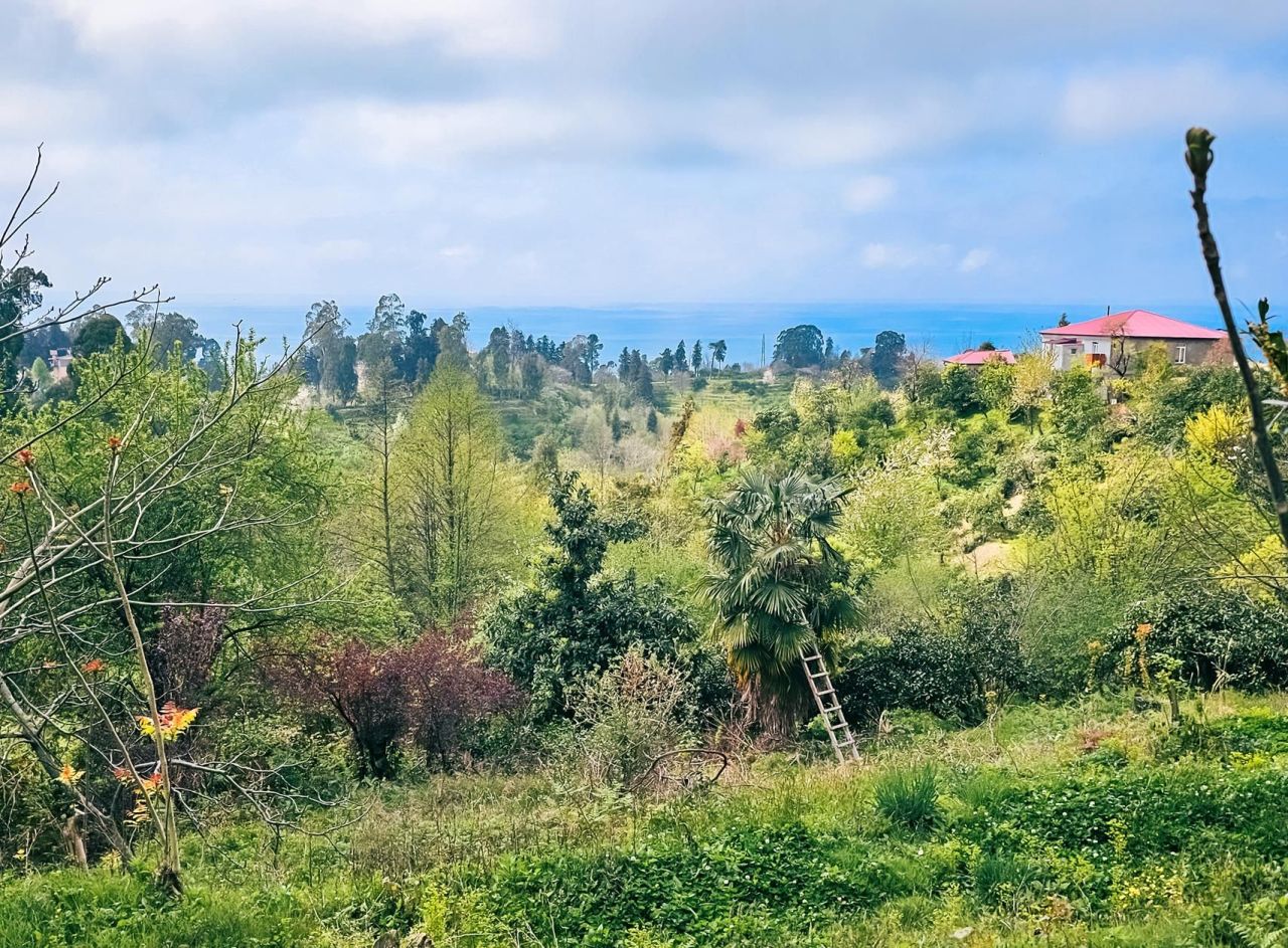 Terrain à Batoumi, Géorgie, 2 000 m² - image 4
