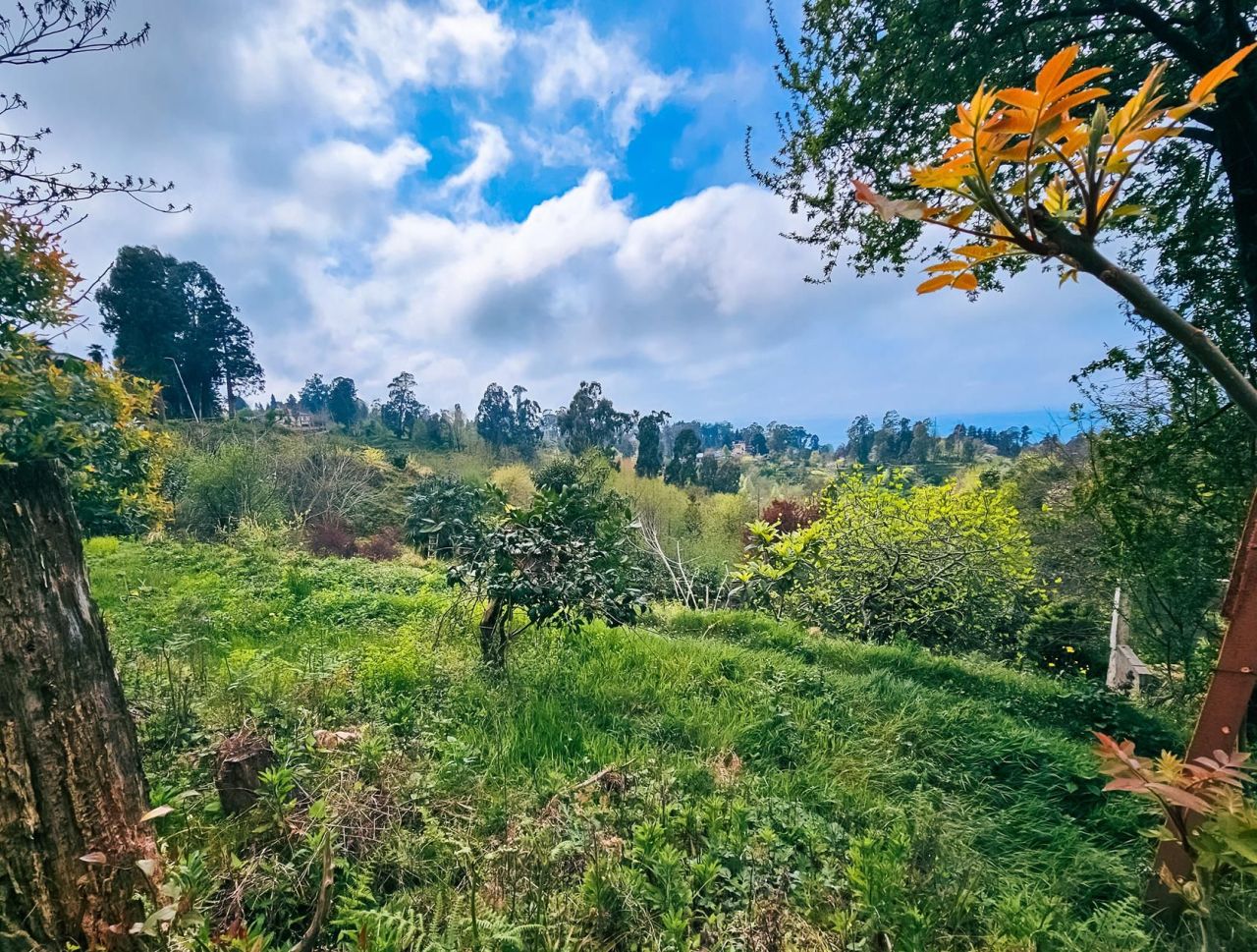 Terrain à Batoumi, Géorgie, 2 000 m² - image 5