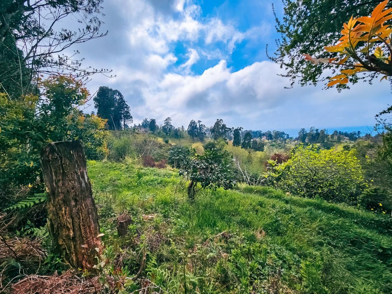 Terrain à Batoumi, Géorgie, 2 000 m² - image 6