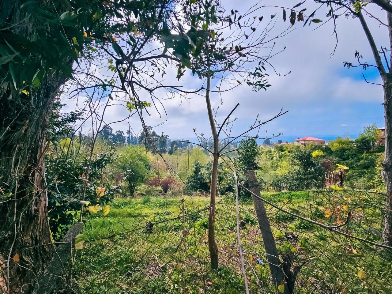 Terrain à Batoumi, Géorgie, 2 000 m² - image 8