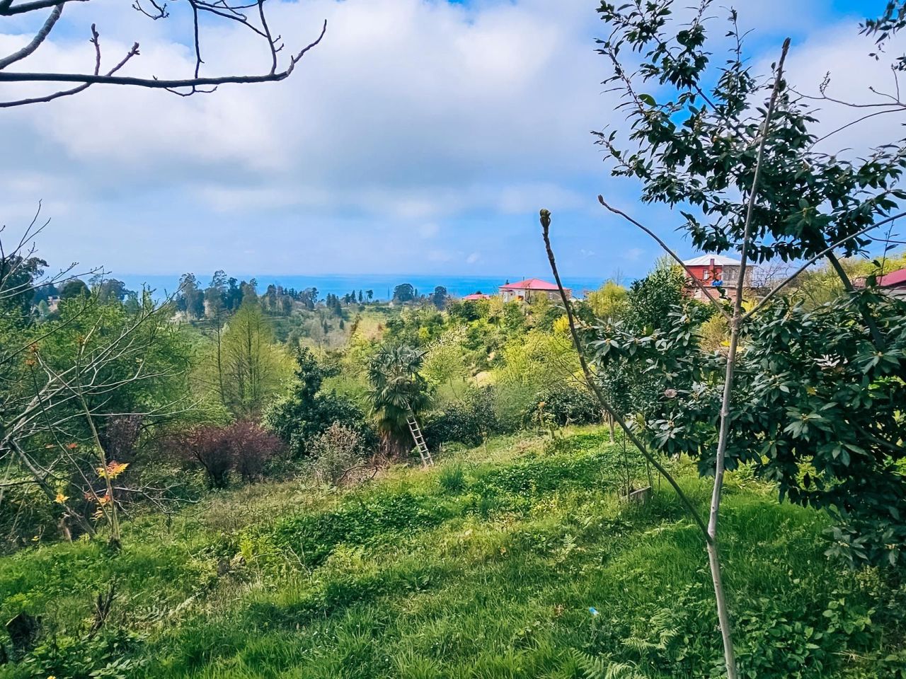 Terrain à Batoumi, Géorgie, 2 000 m² - image 3