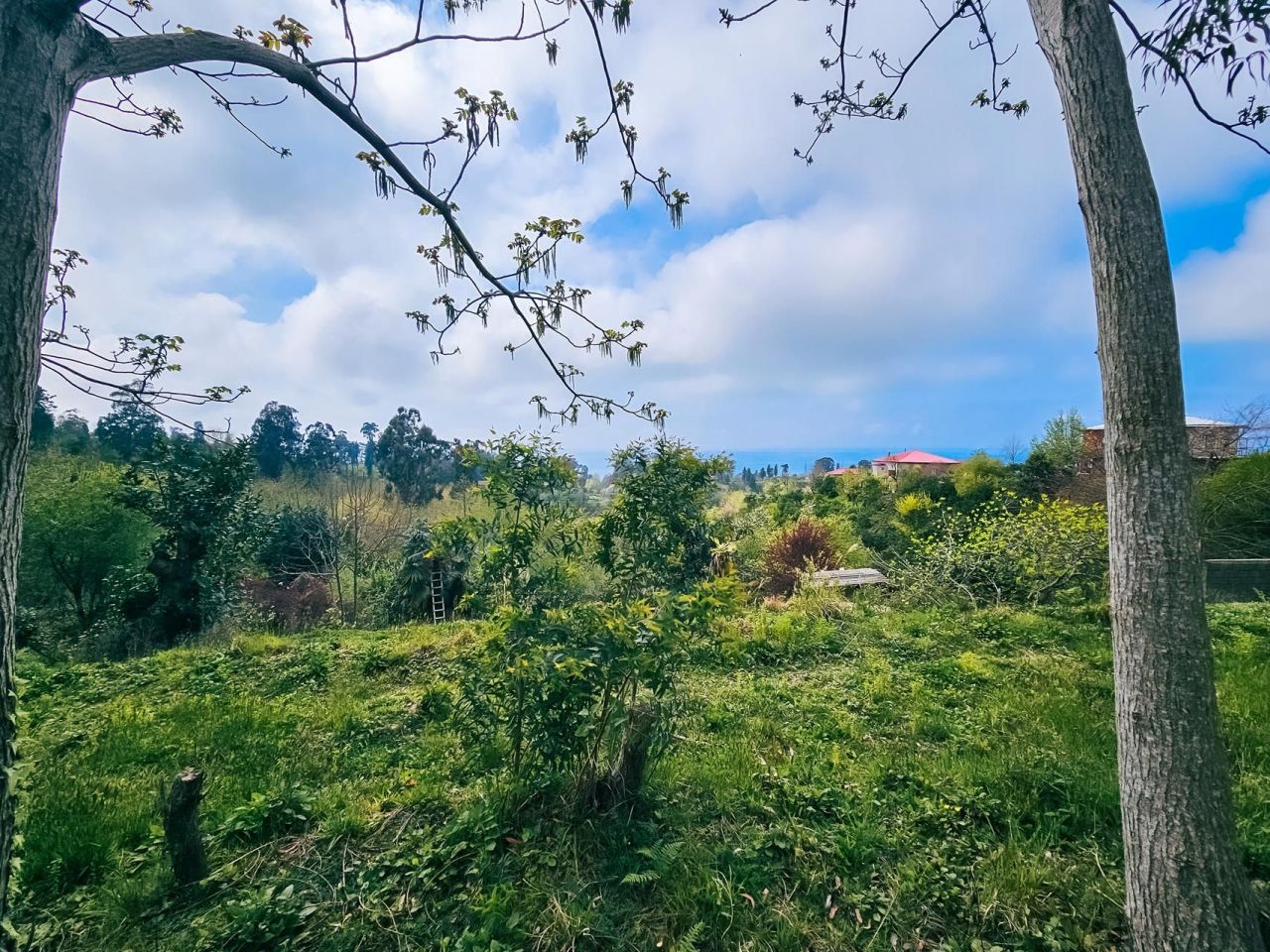 Terrain à Batoumi, Géorgie, 2 000 m² - image 10