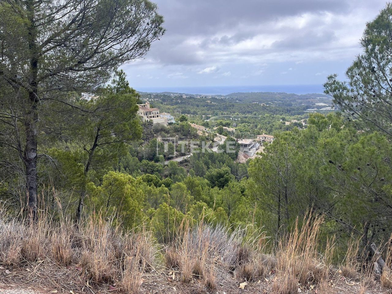 Land in Altea, Spain, 8 006 m² - picture 1